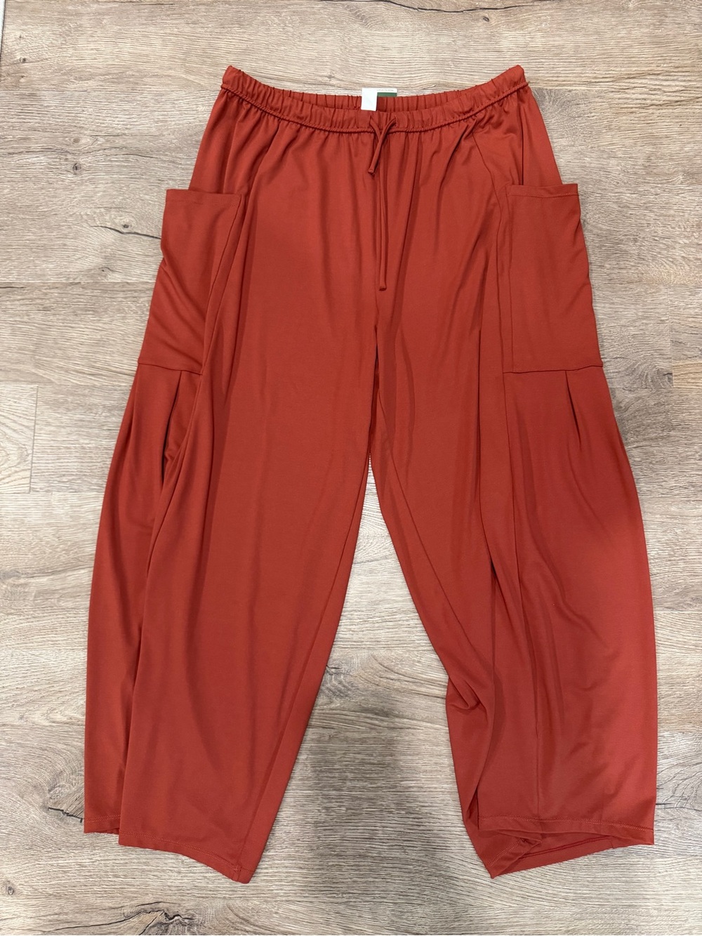 Halara XL Pants - Rust